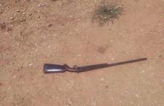 صورة البندقية