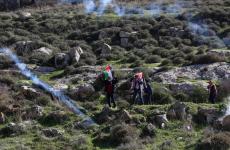 null