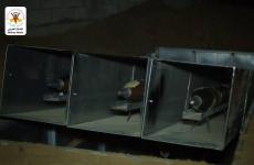 سرايا القدس صاروخ.jpg