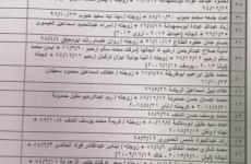 كشف التنسيقات المصرية