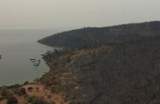 حرائق الغابات بتركيا.png