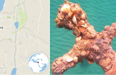 سيف اثري  صليبي