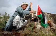علم فلسطين - مزارع.jpg