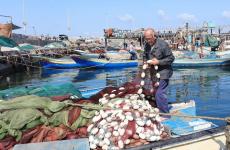 المسن الهسي يرمم ثقوب شباك الصيد (3).jpg