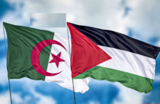 فلسطين والجزائر.png