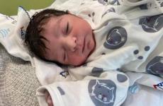 رعد يولد من جديد.jpg