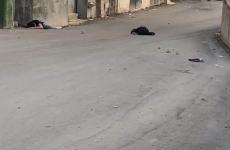 اصابة احد الشبان الفلسطينيين
