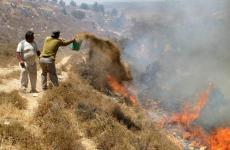 مستوطنون يضرمون النار