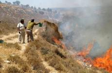 مستوطنون يضرمون النيران في أراضي المواطنين.jpeg