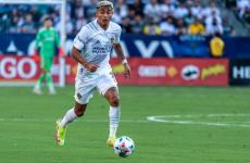 جوليان أراوخو