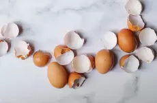 قشر البيض