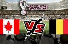 بث مباشر  لمباراة بلجيكا ضد كندا في كأس العالم 2022 والقنوات الناقلة