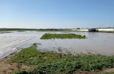 الاحتلال يفتح عبارات المياه