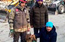 d-44-ساهمت-في-إنقاذ-12-شخصا-بتركيا-ما-هي-قصة-الكلبة-سيلا-.jpeg