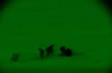 عملية خلف الخطوط