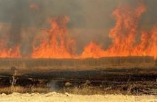 صورة توضيحية.jpg