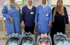 نطف مهربة.jpg