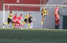 دوري المحترفين