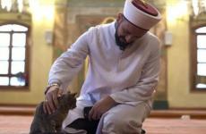 فيديو القطة مع الإمام التركي يعيد مقطع الشيخ وليد مهساس الان.jpg