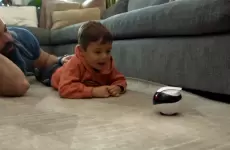 الروبوت إيبو