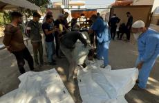 شهداء في رفح.jfif