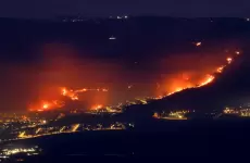 حرائق في إسرائيل.webp