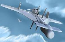 طائرة هاروب الإسرائيلية طائرة مسيرة.jpg