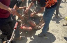 شهداء وجرحى.jpg