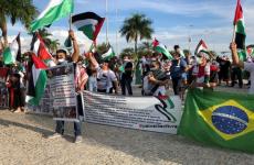 برازيل وفلسطين.jfif