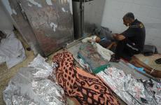 شهداء - أطفال - شهيد - الحرب على غزة (1).jpg