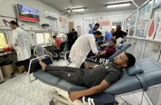 بنوك الدم في غزة.jpg