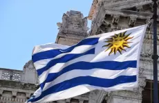 17662159-ea57-457b-a8b4-c79674f25af9 (1).webp