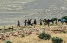 مستوطنون تسييج أراضي.jpg