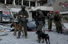 بيت مشيمش.webp