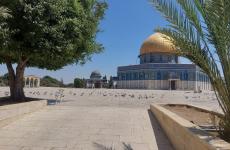 الاقصى خال من المصلين.jpg