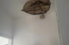 مسيرة لبنانية