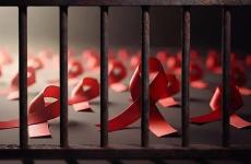 الاشرطة الحمراء.jpg