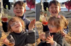 ازاي أوصف لك يا حبيبي الشاي.webp