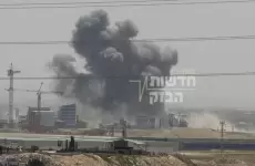 ناؤوت حوفاف