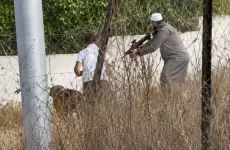 الشاب الفلسطيني فاروق عدنان بعد انتزاعه سلاح المستوطن، اليوم، في بلدة تل قرب نابلس بالضفة الغربية (مواقع التواصل)