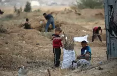 أطفال فلسطينيون يجمعون الحطب لاستخدامه في الطهي وسط نقص الوقود