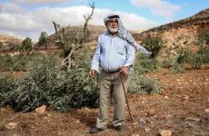 تتعرض الأراضي الزراعية الفلسطينية، ولا سيما القريبة من المستوطنات والبؤر الاستيطانية والطرق الالتفافية، لاعتداءات متكررة