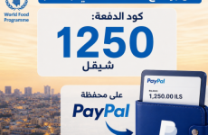 رابط المساعدات النقدية في الغذاء العالمي