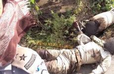 جثث قتلى حوثيون في قرية الربوعة بمنطقة عسير