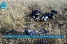  صورة نشرتها جبهة النصرة لجثث القتلى  