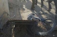 شهيد تل رميدة