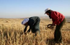 سهل القاعون