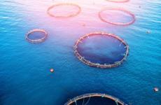 لقطة الشاشة 2020-12-09 194443.jpg