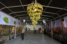 190820_MJ_00 (13).jpg