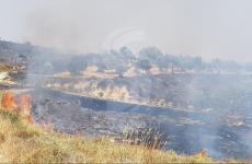 مستوطن يحرق أراض زراعية جنوب نابلس